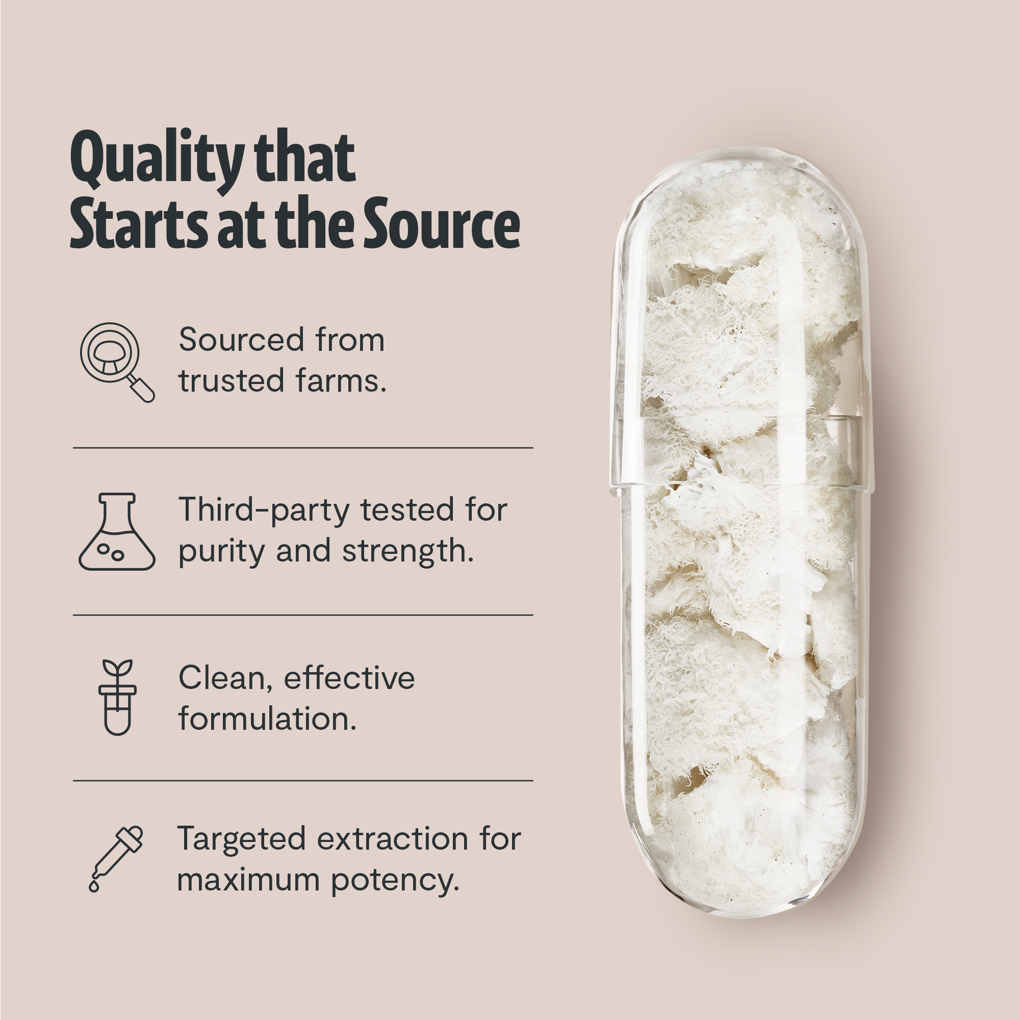 Organic Lion’s Mane Capsules