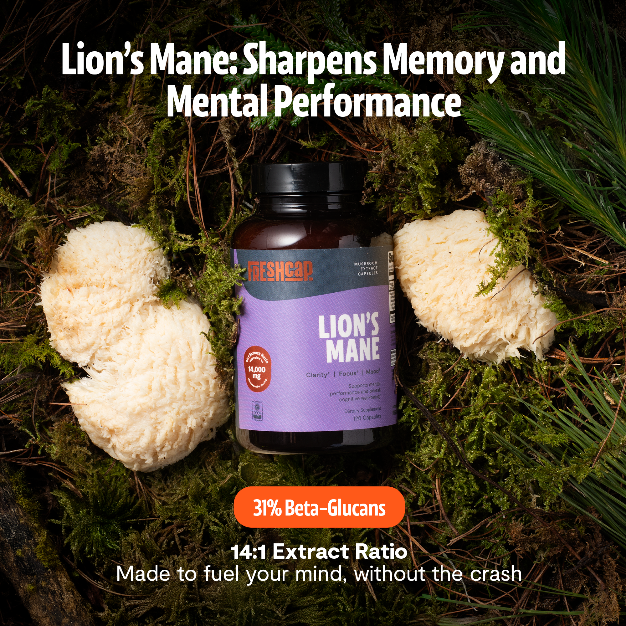 Organic Lion’s Mane Capsules