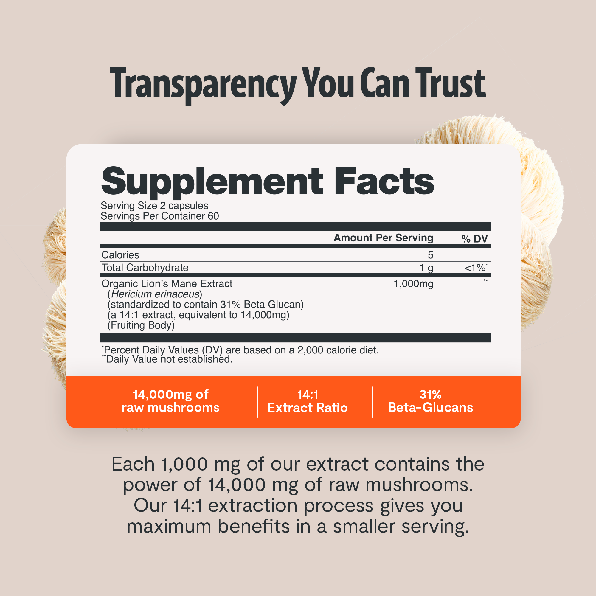 Organic Lion’s Mane Capsules